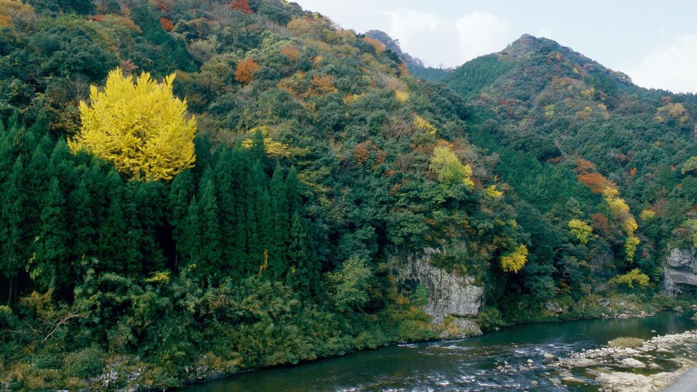 日本遺産やばけい遊覧ウェルネスツーリズム FEELING FORESTツアー 3