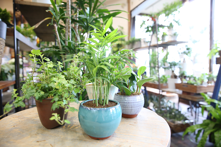 上野焼「秋の窯開き」 花と緑と上野焼の特別企画も実施！！(福岡県