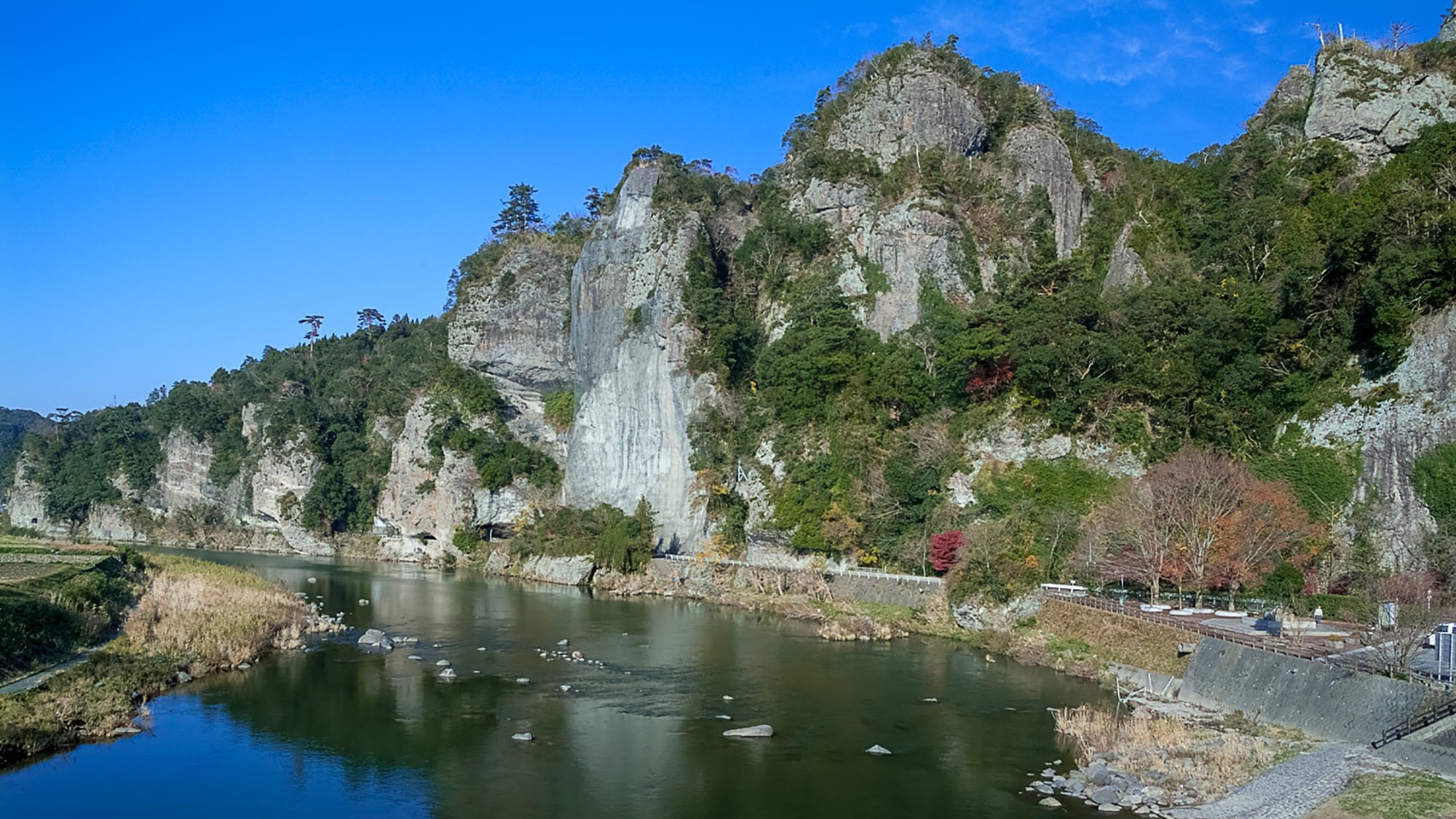 日本遺産やばけい遊覧ウェルネスツーリズム FEELING FORESTツアー 3