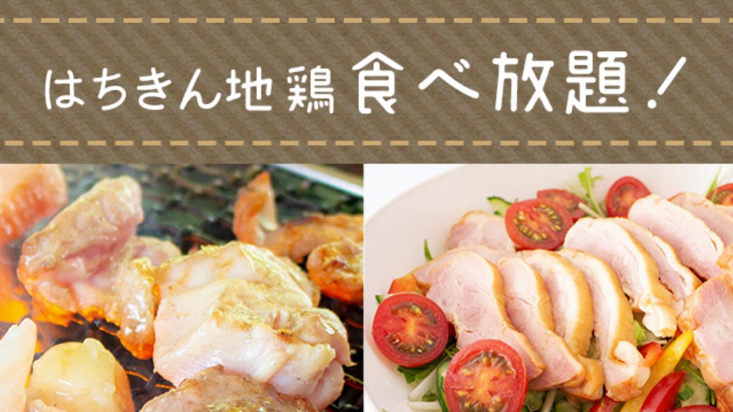 土佐はちきん地鶏を心ゆくまで堪能】第33回はちきん食べようカーニバル