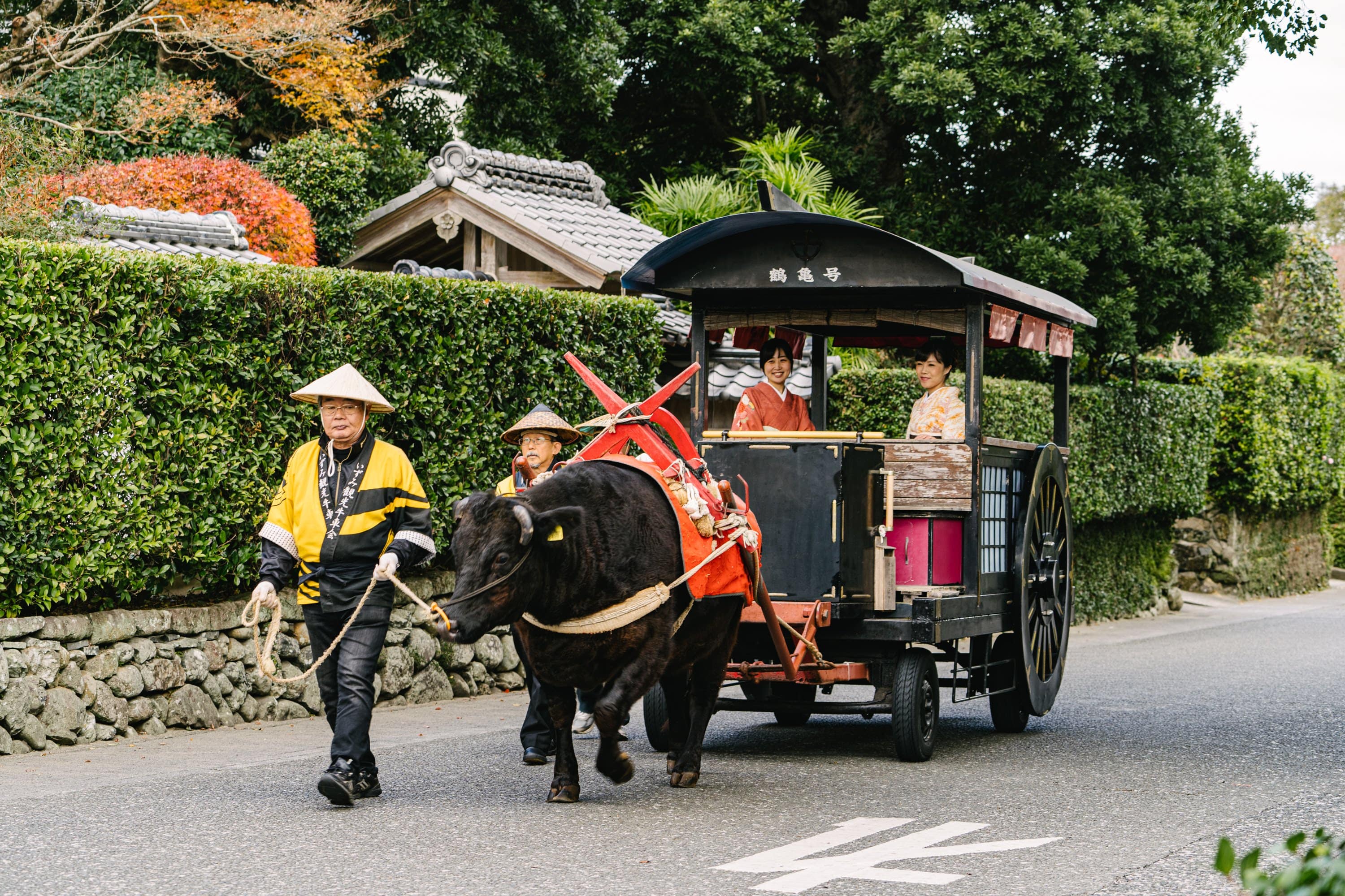 牛車で歴史探訪!日本遺産「出水麓武家屋敷群」で牛車体験 牛車で歴史探訪!日本遺産「出水麓武家屋敷群」で牛車体験