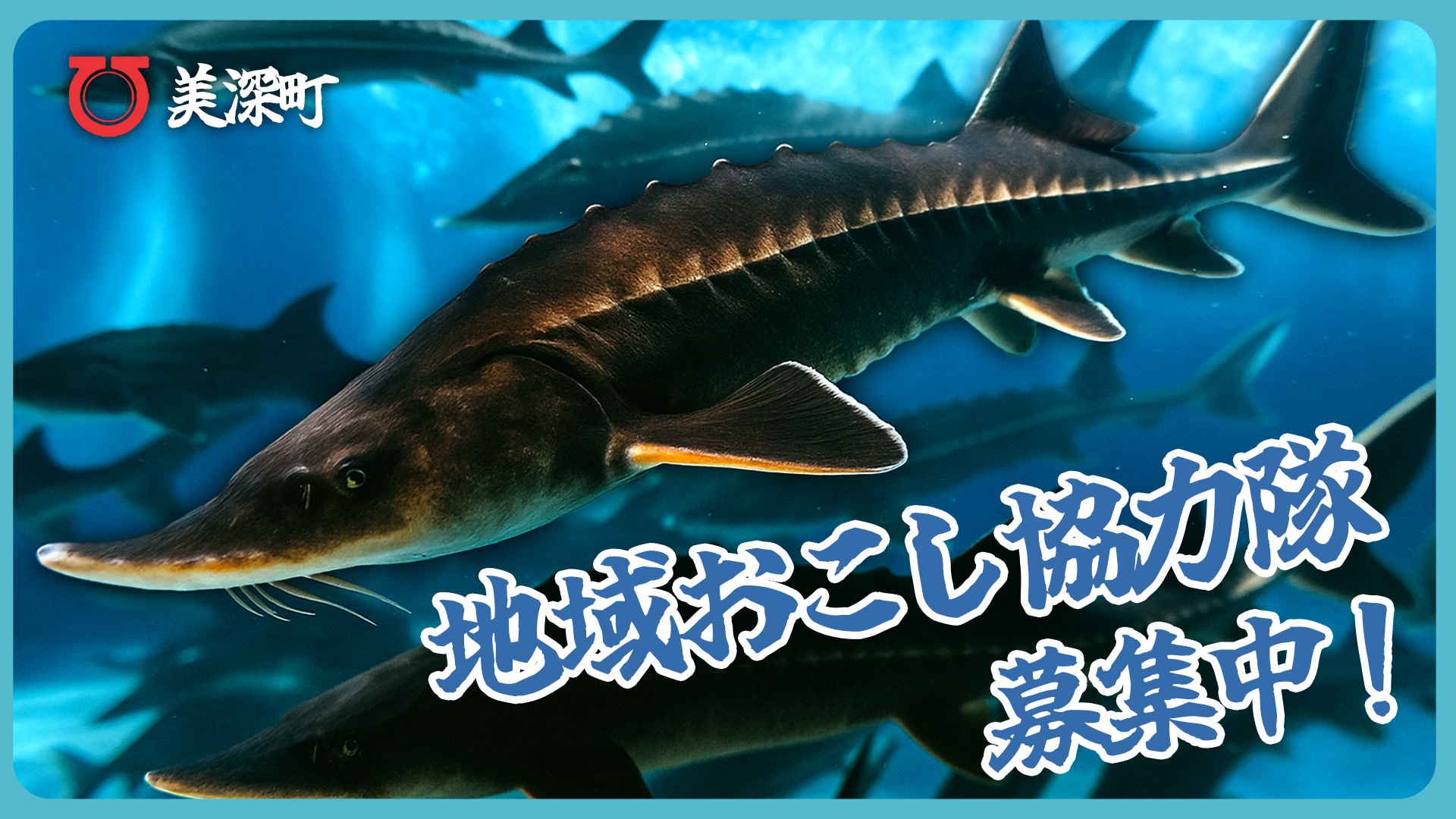 北海道美深町】チョウザメを飼育してみませんか？～美深町地域おこし