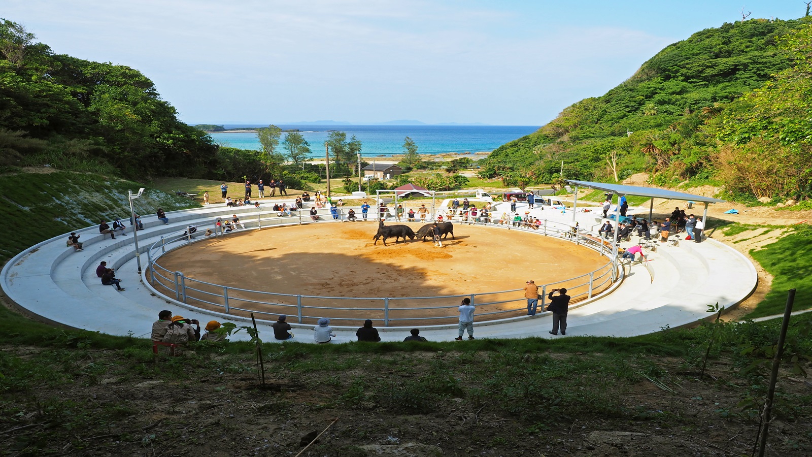 徳之島　57mm 航空券サポート】なんにもないけど、なんでもある。まぶ～るの町